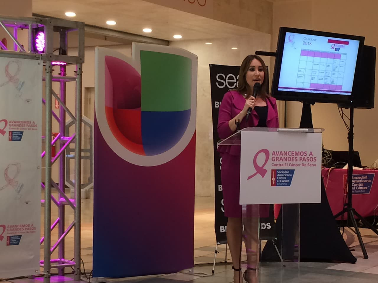 La destacada actriz y animadora Suzette Bacó, fue seleccionada Madrina Nacional de las Marchas 2016. Además, otros talentos y personajes de Univision Puerto Rico se unieron.