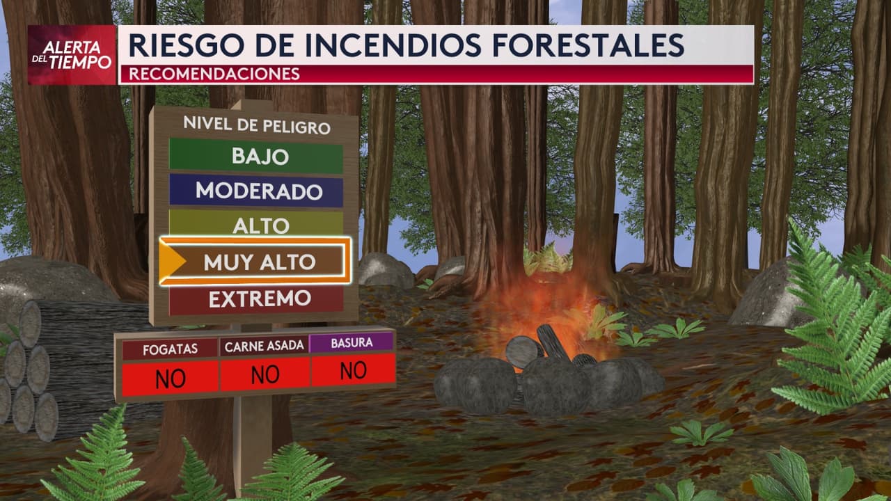 El peligro radica en
<b> la combinación de factores que favorecen la ignición y propagación de incendios</b>, especialmente en zonas con vegetación seca. Por ello,
<b>se recomienda evitar actividades al aire libre que puedan generar chispas, como la quema de basura o el uso de maquinaria pesada.</b> Además, es crucial
<b>mantener despejadas las áreas alrededor de las viviendas, eliminando hojas secas y otros materiales inflamables.</b>