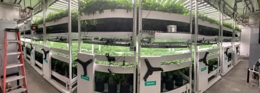 La Oficina del Alguacil indicó que calcula pasar "varios días" en los sitios cateados procesando la masiva evidencia que decomisaron. Aún no está claro si hubo personas arrestadas durante el operativo.