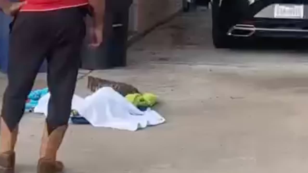 “¡Para! Vas a ir a clases”, le contestó el padre pensando que era un pretexto para evitar volver a la escuela, después salió y, efectivamente, se encontró con el caimán de frente.