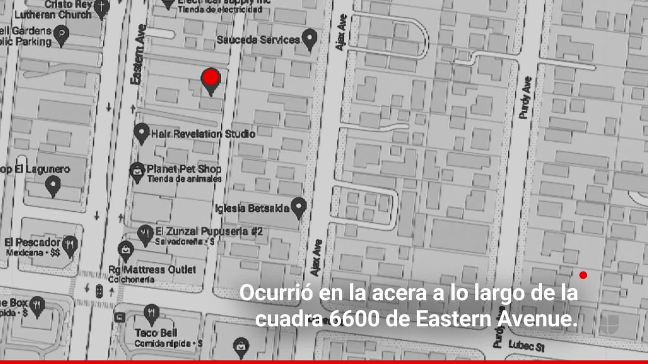 Buscan a mujer que robó a plena luz del día un perro en Bell Gardens