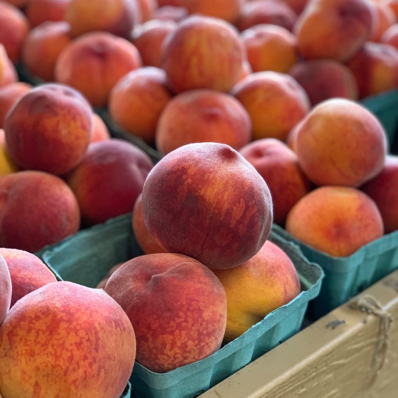 <b><a href="https://www.linvilla.com/family-fun/peach-festival">Summer Harvest Festival at Linvilla Orchards (6 de agosto)</a></b>. Agosto es la temporada alta para muchas de las frutas y verduras que crecen en Linvilla Orchards. Recoge tu propio maíz, tomates, duraznos, manzanas de verano, moras, girasoles y más durante el Festival de la Cosecha de Verano.