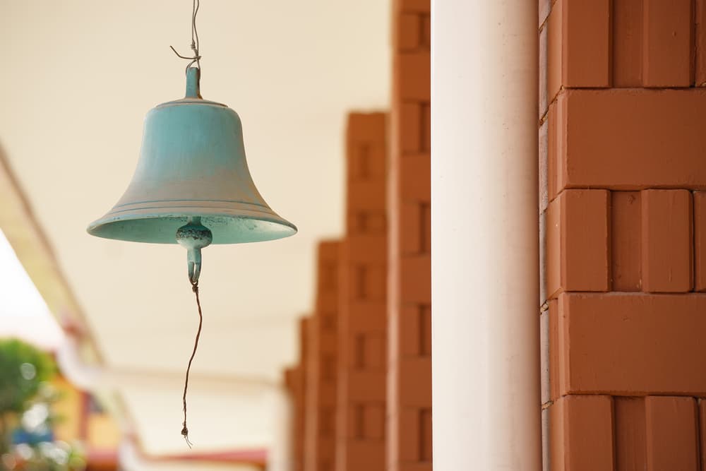 Siendo signo de aire y no de agua como muchos se confunden, te conviene tener sonajeros en la casa, o sea, si tienes un balcón o terraza donde haya corrientes de aire campanitas que suenen armónicamente con el viento, o también a la entrada de la casa, alguno de esos elementos que al abrirse la puerta producen un sonido suave, agradable, que calma y relaja creando la ambientación armónica necesaria para la abundancia.