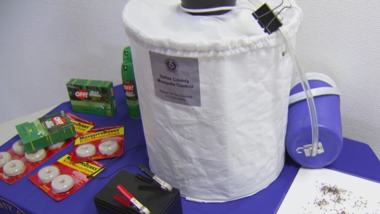 Exhortan a prevenir enfermedades transmitidas por los mosquitos