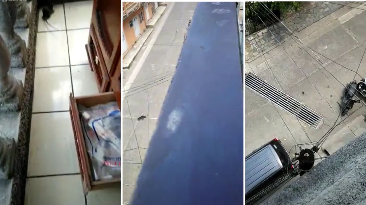 Así fue la secuencia de la caída de la rata