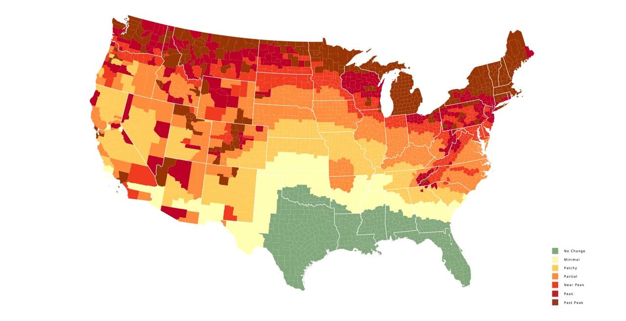 <b>Semana del 17 de octubre</b>. El cambio de color comienza a notarse en el centro del estado.