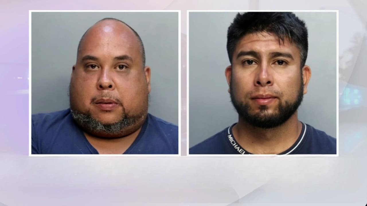 Hallan una propiedad con gallos de pelea y redondel con sillas para espectadores en Miami-Dade