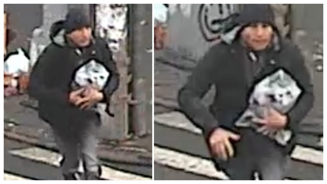 Mientras ellos lo distrajeron, otro individuo rápidamente sacó una bolsa que estaba desatendida en el parachoques de la camioneta blindada y se echó a correr.