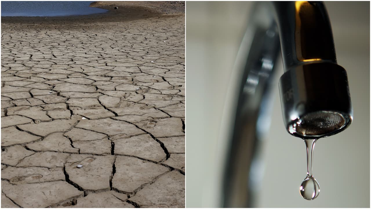 Declaran emergencia por sequía en el sur de California: piden a la comunidad ahorrar agua