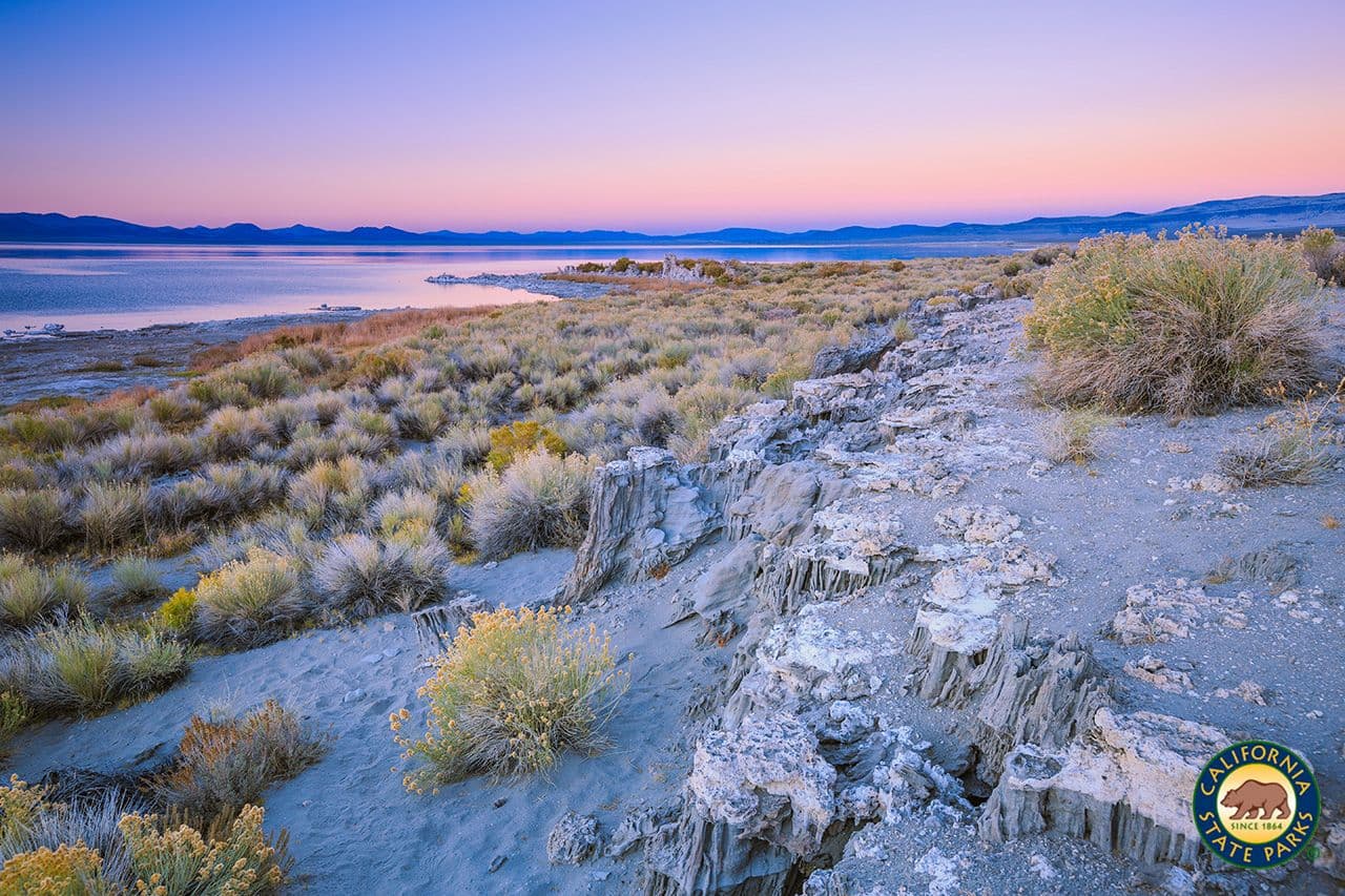 Los resultados de la búsqueda serán diferentes dependiendo del modo como deseas realizar tu visita.