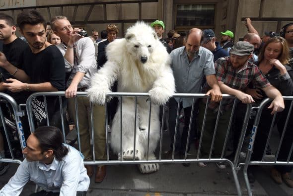 Un hombre vestido como un oso polar tomó parte en las manifestaciones.