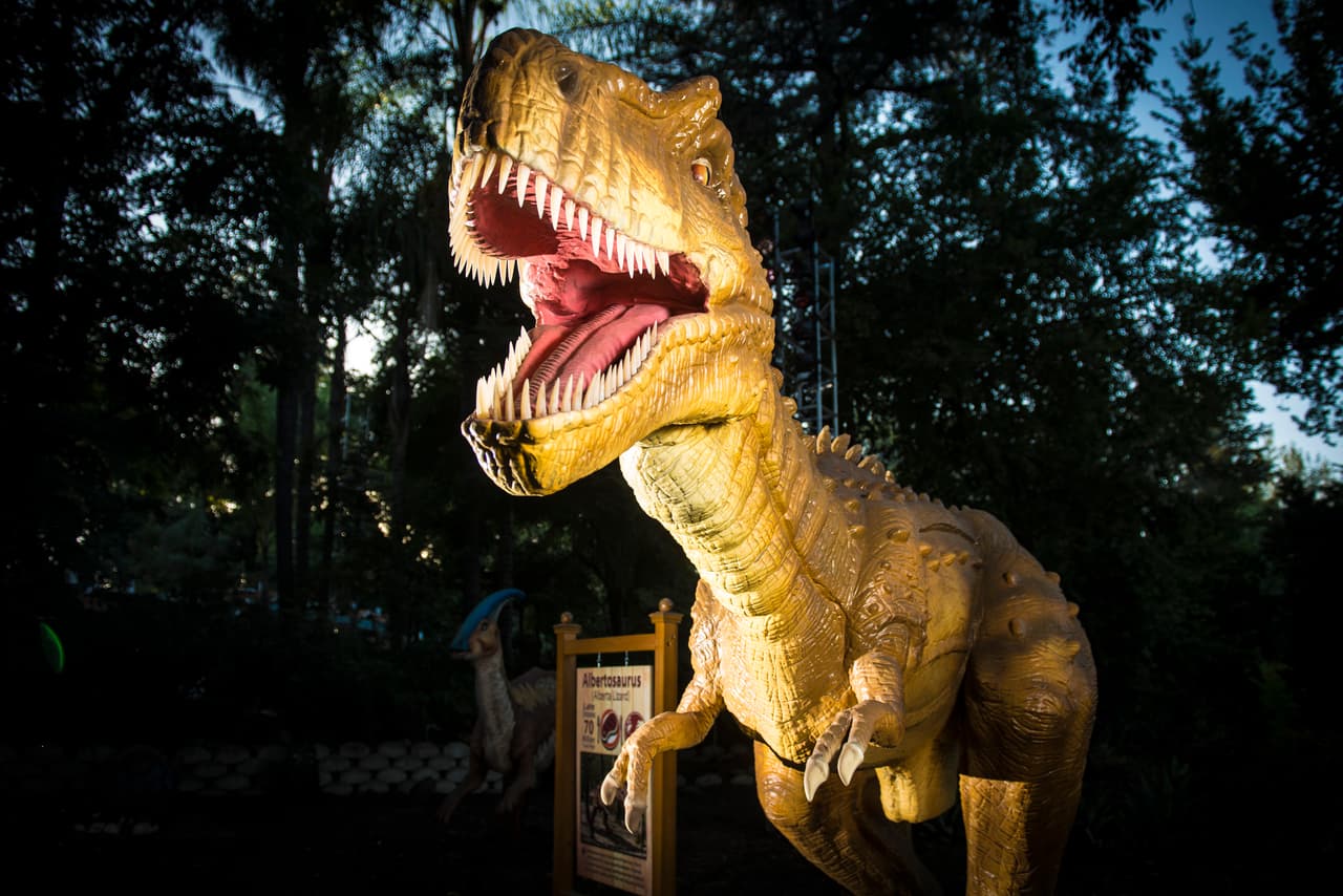 Aprovecha un paseo para acercar a tus hijos a la ciencia. En el
<b>Museum of Discovery and Science (MODS) se les explica con juegos y exposiciones interactivas temas que van desde el ecosistema floridano hasta sus especies animales. En enero del 2020 estrena su exhibición de dinosaurios animotrónicos</b>. Con razón medio millón de personas lo viistan cada año.