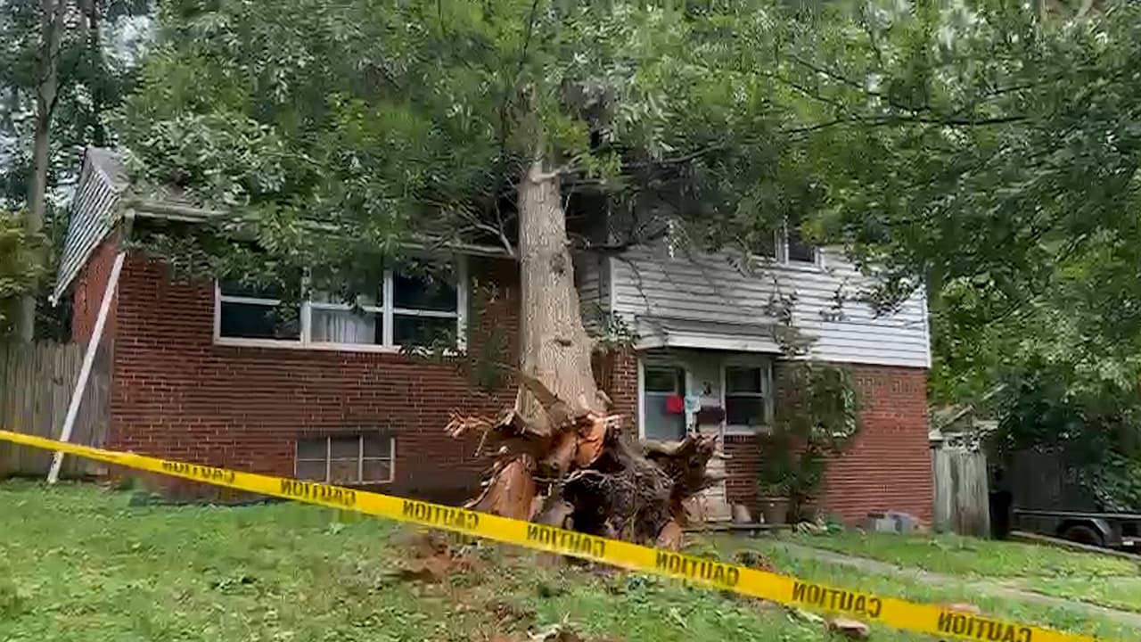 Recorrido por los daños que dejaron tornados en su paso por Gaithersburg, Maryland