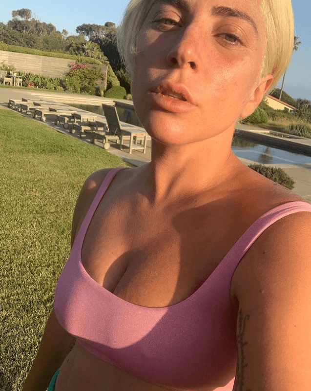 La cantante estadounidense reconoció el esfuerzo que Ryan Fischer hizo para intentar evitar que secuestraran a sus mascotas.