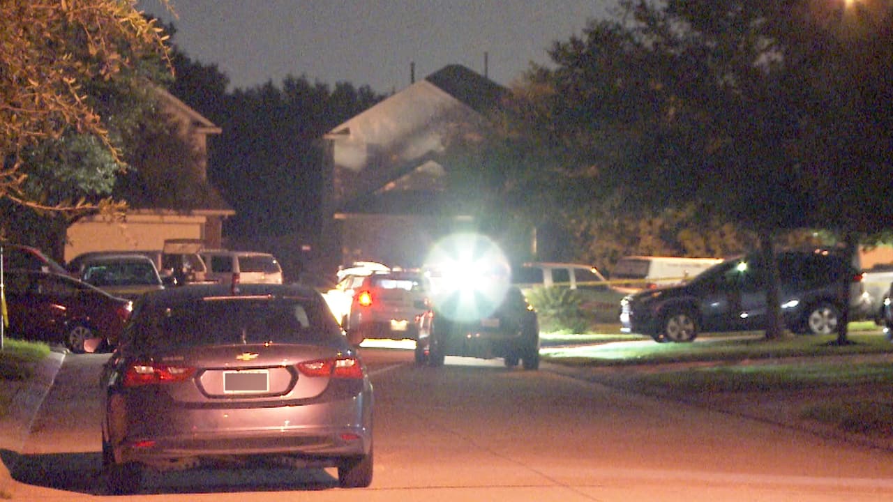 Los servicios de emergencia llegaron a la cuadra 2400 de Palm Cockatoo Dr., y encontraron a la hermana del sospechoso muerta.