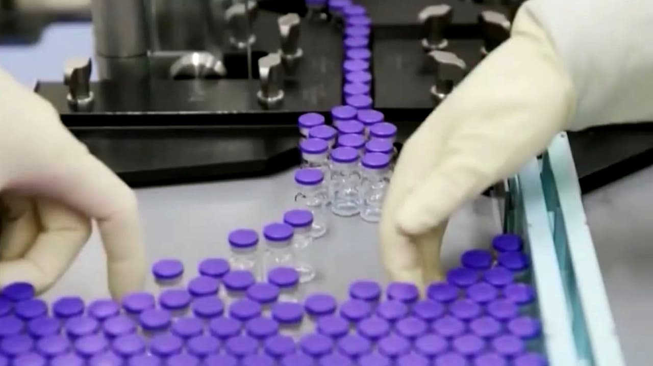 Pfizer pedirá la aprobación de una vacuna contra la enfermedad de Lyme, ¿cómo funciona y qué tan efectiva es?