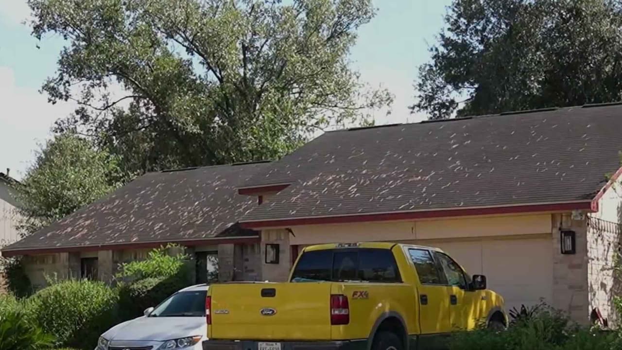 Descubren el cuerpo de una mujer en una bolsa y a su hijo durmiendo a pocos metros en Houston