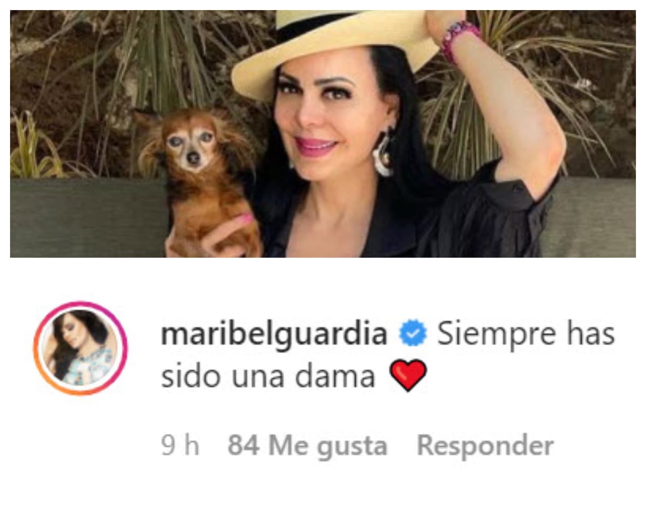 El fuerte y crítico mensaje de la exintegrante de Garibaldi provocó una serie de mensajes de celebridades que se solidarizaron con ella. Una de ellas fue
<b>Maribel Guardia</b>, quien le hizo saber que, desde su punto de vista, ella
<b><a href="https://www.univision.com/entretenimiento/patty-manterola-y-su-esposo-acordaron-no-tener-mas-hijos-aunque-se-quedaron-con-ganas-de-una-nina-fotos" target="_blank">"siempre ha sido una dama"</a></b>, contrario a como han tratado aparentemente de mostrarla en la serie de televisión.
<br>