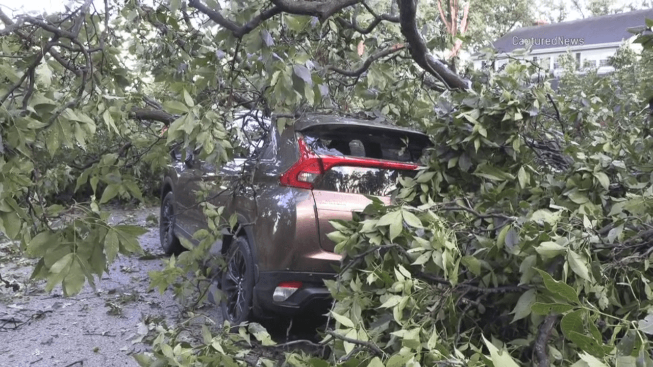 Enormes ramas cayeron en Elgin, IL. producto de los fuertes vientos se registraron durante el paso de las tormentas este miércoles.