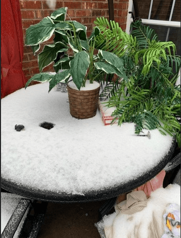 El norte de Texas vive la primera nevada del año