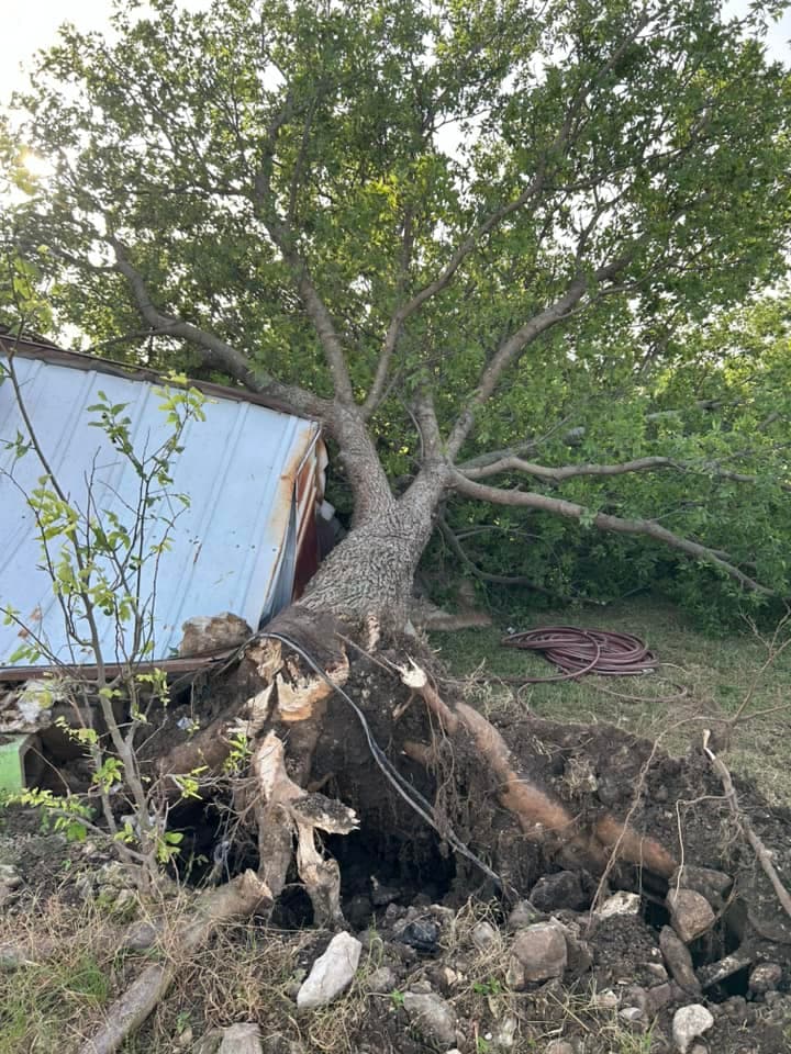 Decenas de usuarios en Univision enviaron imágenes de los daños que las fuertes tormentas trajeron a su comunidad.