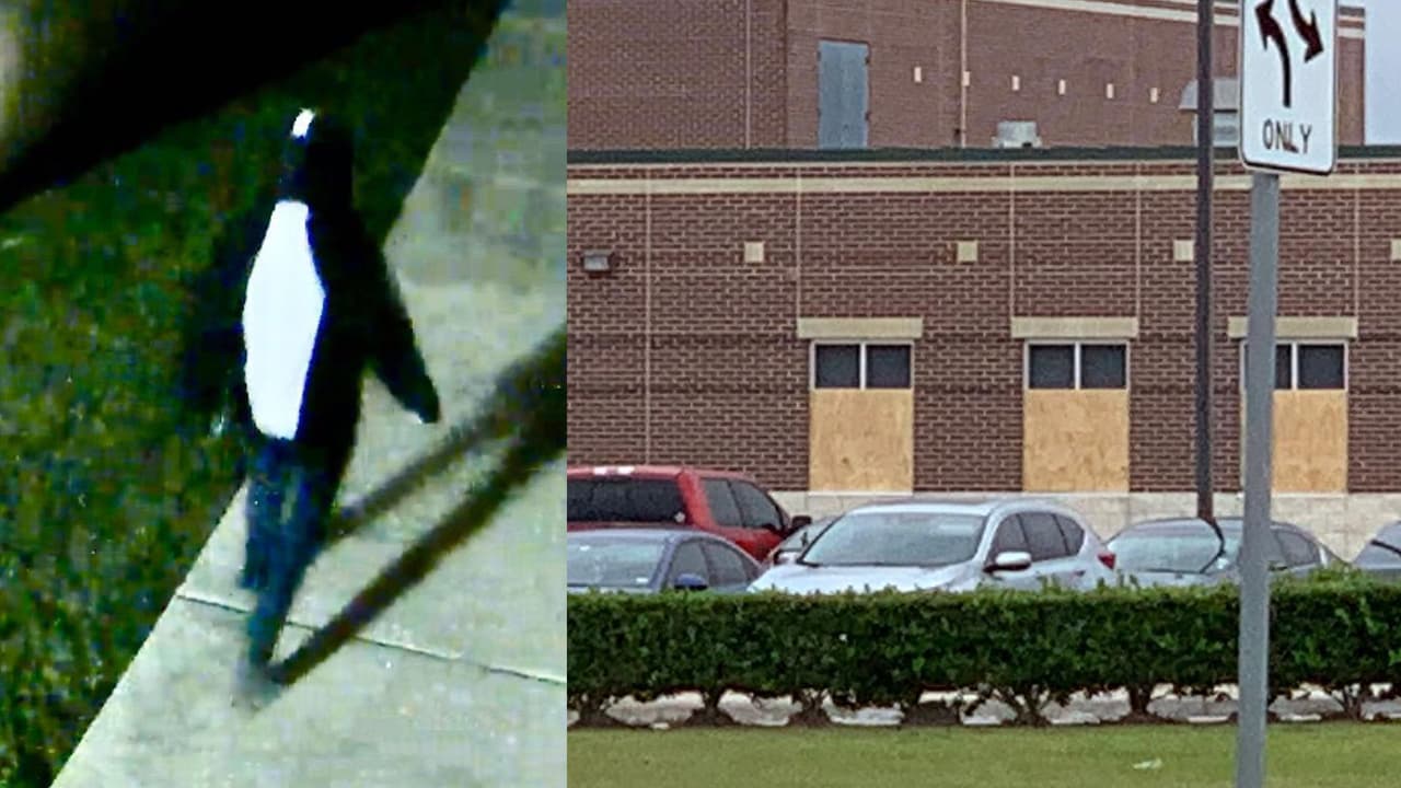 Ya son tres las escuelas vandalizadas en Pearland. Continúa la búsqueda del responsable