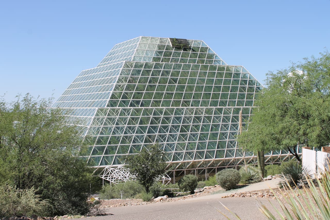 Dentro de los ventalanes los investigadores crearon un bosque