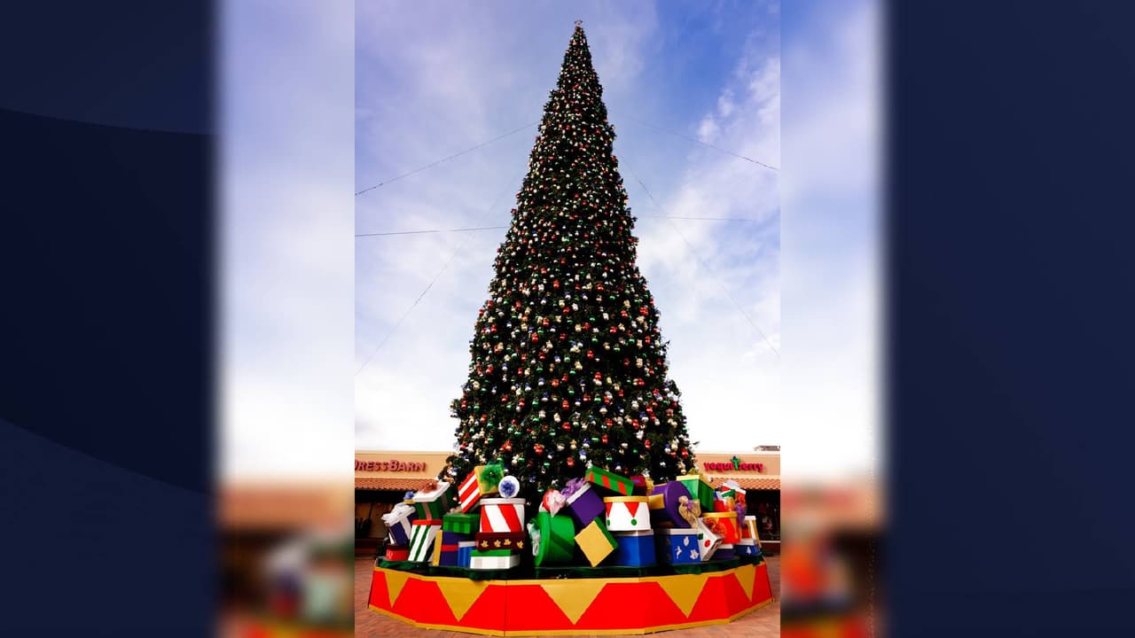 Más de 1.5 millas de luces LED iluminarán el árbol y aproximadamente 5,000 adornos y lazos vestirán el árbol.
<br>