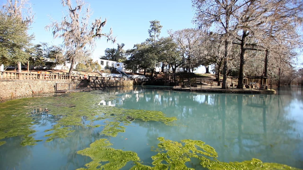 En el lugar podrás caminar por un patio donde una vez estuvo el antiguo Radium Springs Casino y disfrutar de los montículos cubiertos de follaje, las aguas cristalinas y la flora tanto autóctona como exótica.