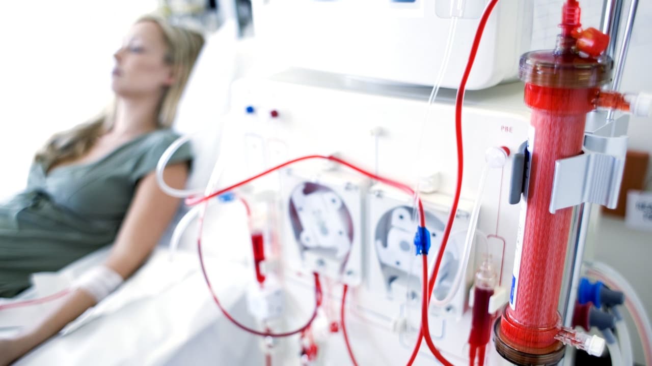 ¿Qué es la Propuesta 29 y por qué aparecerá en la boletas en las elecciones del 8 de noviembre?