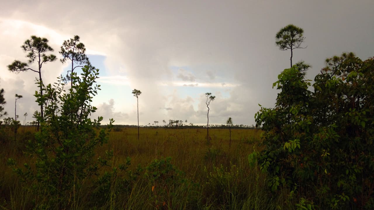 <b>Capricornio: Soñar con fango o con un lugar lodoso</b>
<br>Muchas veces las personas se preocupan con sueños que tienen que ver con pocilgas o lugares fangosos o sucios, inclusive los excrementos, sin embargo, lejos de lo que pudiera pensarse este sueño generalmente indica que cierta situación complicada empieza a resolverse y atrae dinero y prosperidad a tu vida. 
<br>No obstante, contiene un aviso importante y está vinculado a tu personalidad. Es un llamado a la exploración interna y a eliminar todos esos factores que causan celos o sospechas, desconfianzas y recelos.