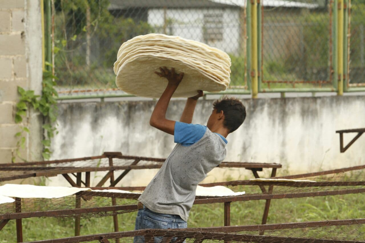El casabe, una suerte de pan delgado tostado, es la única forma segura que existe de comer yuca amarga