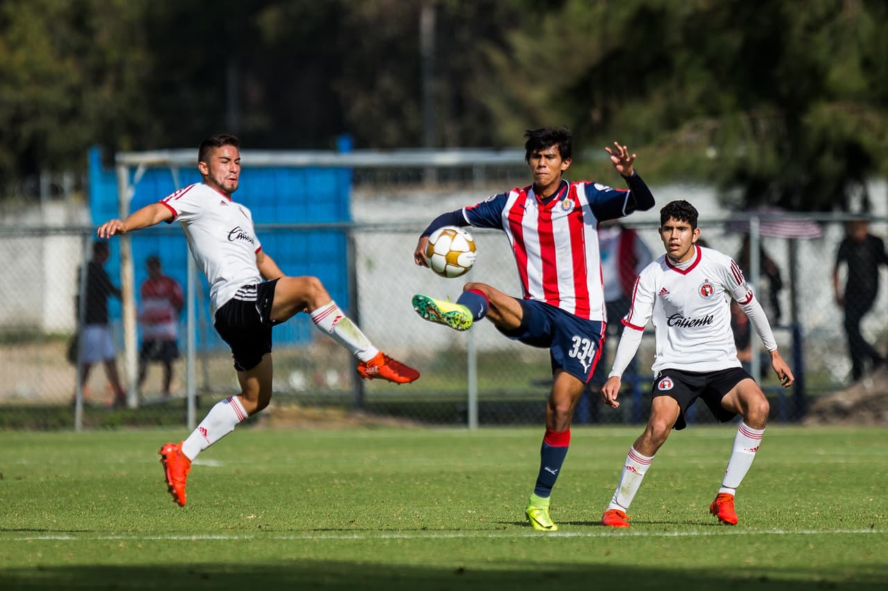 José Juan Macías inició su carrera como futbolista en las fuerzas básicas del Guadalajara en 2011, desde ahí continuó jugando para las inferiores de chivas hasta llegar a la sub 17.