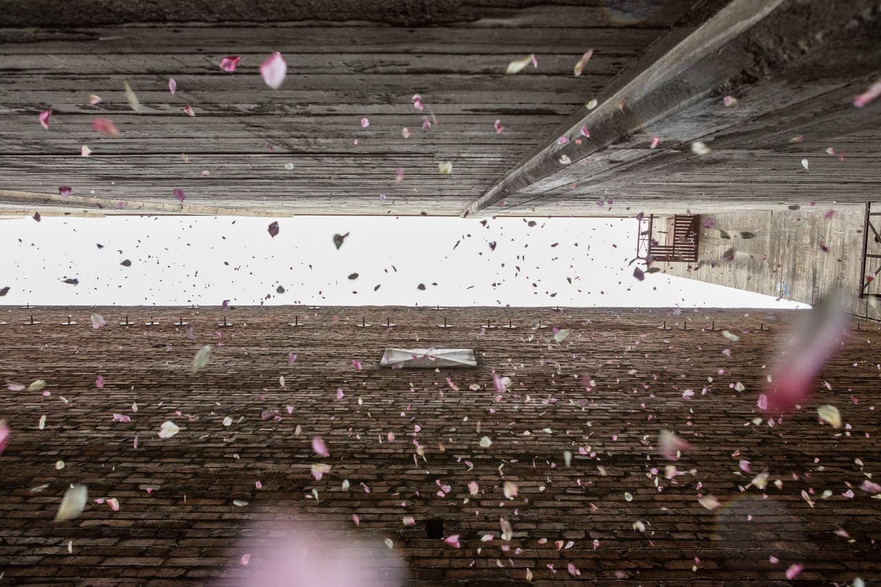 Los Ángeles se prepara para una lluvia de flores
