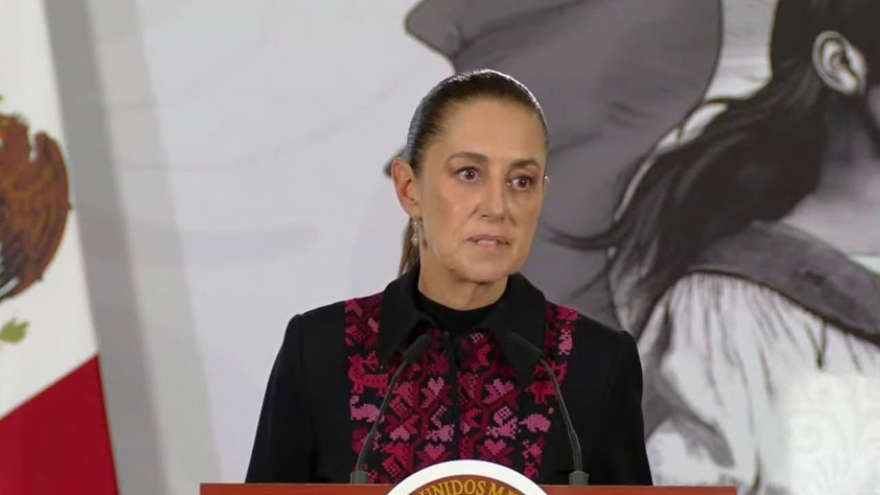 Sheinbaum llama a partidos políticos a unirse contra mortales operativos de ICE contra mexicanos