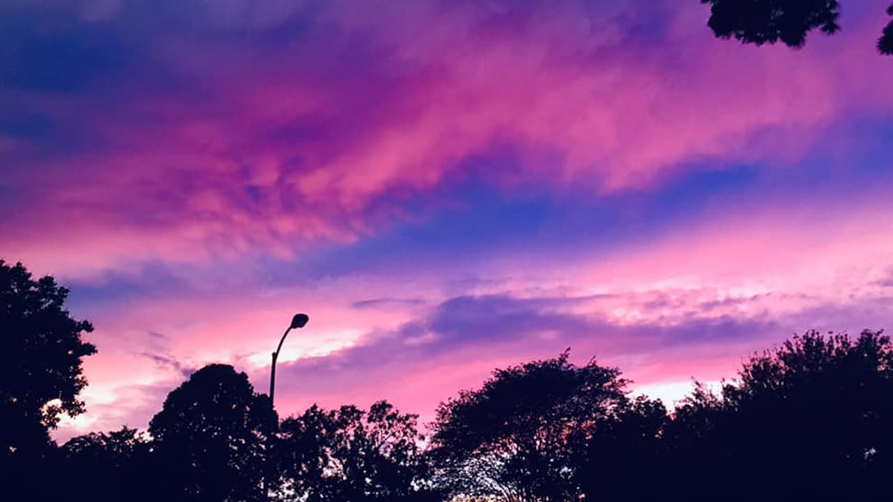 Foto compartida por Brenda Malacara de Spring, TX.