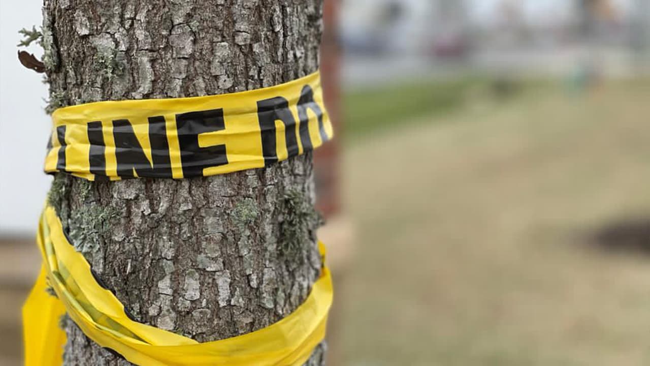 <a href="https://www.univision.com/local/houston-kxln/muere-una-madre-y-sus-dos-hijos-en-accidente-que-involucra-nueve-autos-en-houston" target="_blank">La madre y su hijo mayor de 5 años, murieron en la escena</a> luego de que su auto se incendiara producto del choque. Los otros dos menores fueron llevados a un hospital donde tiempo después falleció el bebé de 7 meses. Todas las víctimas son afroamericanas, incluyendo al
<a href="https://www.univision.com/temas/sospechosos">sospechoso</a>.