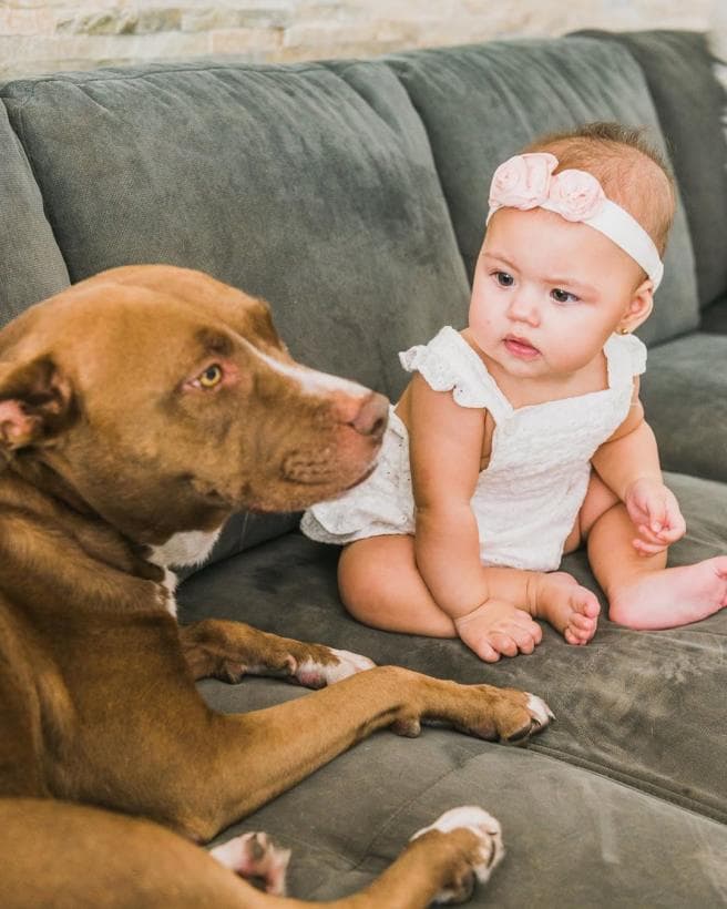 A pesar de las pequeñas e inocentes fechorías de sus hijos perrunos y Chloé, Caro adora lo unidos que son desde que la bebé llegó a casa.
