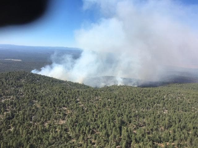 <b>Incendio Dry Lake</b>:
<a href="https://inciweb.nwcg.gov/incident/6743/" target="_blank">El incendio inició a las 8 de la mañana del 6 de junio</a>, desde entonces ha quemado alrededor de 578 acres. De acuerdo con las autoridades, un equipo de 50 personas lucha para contener este incendio causado por un rayo. 
<br>