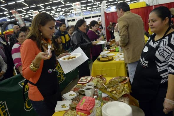 Festival Univision 2014