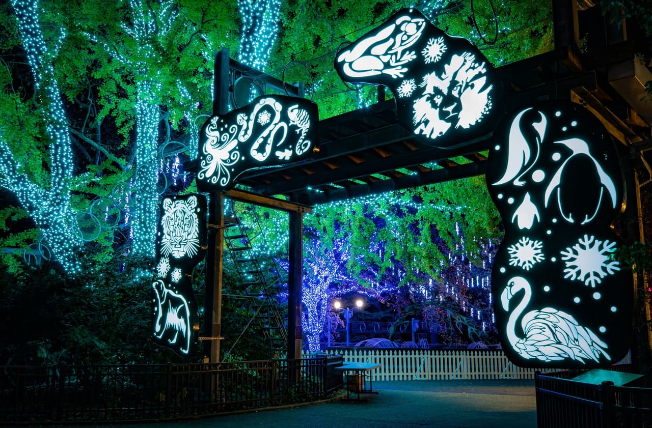 <b><a href="https://philadelphiazoo.org/luminature/" target="_blank">LumiNature at the Philadelphia Zoo (hasta el 9 de enero)</a></b>: Después de la pausa del año pasado, LumiNature regresa para transformar el zoológico de Filadelfia en un paraíso invernal nocturno.