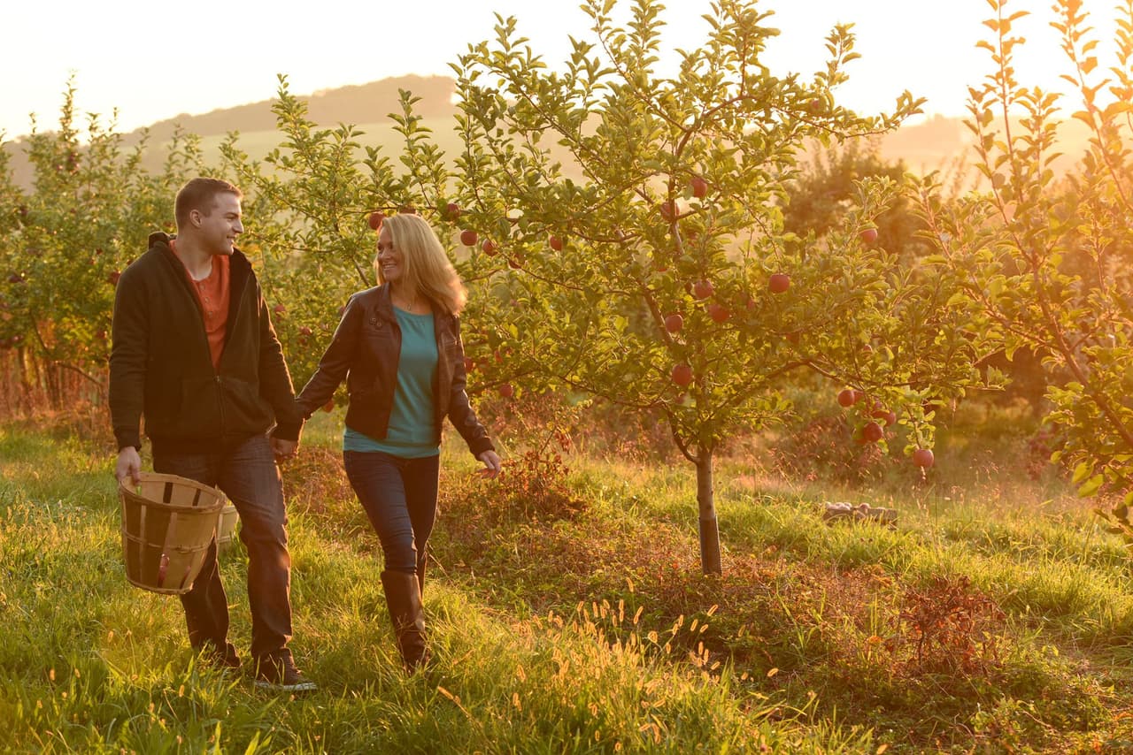 <b><a href="https://goo.gl/maps/Fgx6KgABg8BqWHc78" target="_blank">Gettysburg</a></b>. La historia cobra vida en este pequeño pueblo. Si tú y tu pareja están interesados en conocer varios eventos de la Guerra Civil, puedes visitar varios museos en la zona, incluso pueden hacer un recorrido fantasma por los campos de batalla. Si no se consideran aficionados a la historia, descubrirán que hay muchas otras razones para visitar esta ciudad del sur de Pensilvania. Una variedad de acogedores restaurantes, boutiques y bed and breakfast históricos hacen de Gettysburg uno de los destinos más románticos del estado.