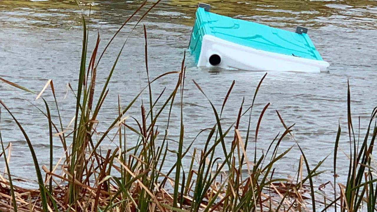 La fuerza del agua y las ráfagas de viento comienzan a dejar destrozos en varias áreas de la región.