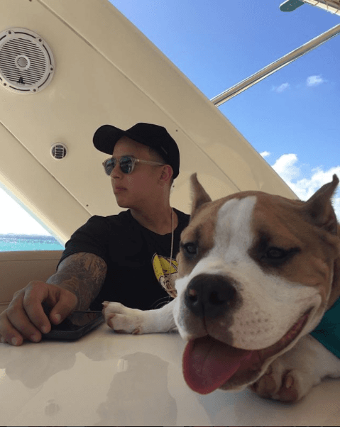 Kaleb ha acampañado a Daddy Yankee en sus momentos de inspiración y descanso.