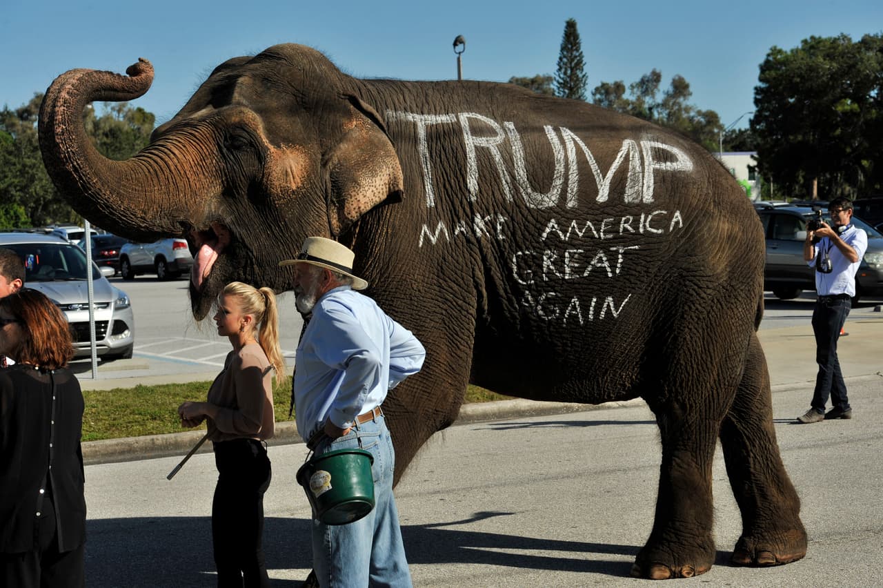 El elefante que acompañó a Trump