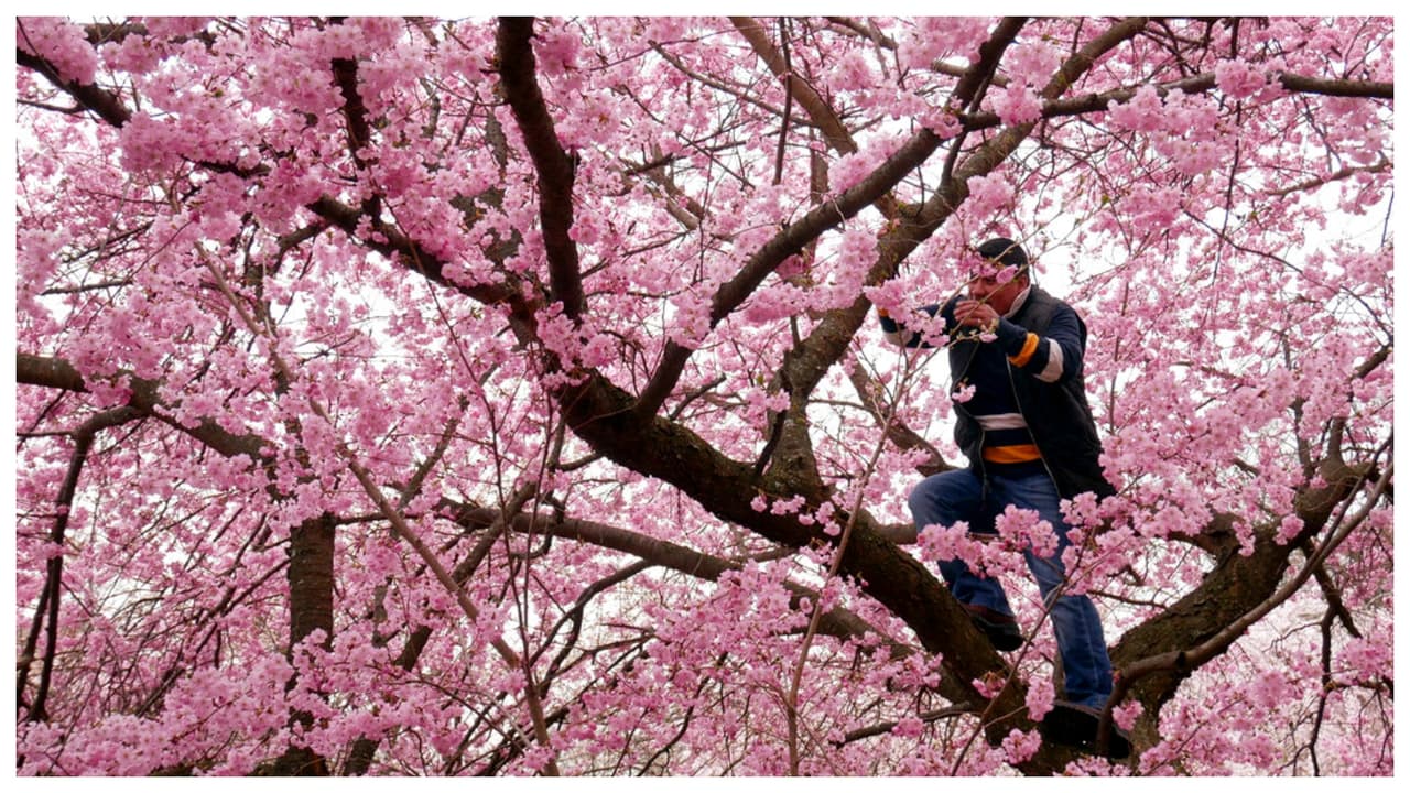 Ubicado en la ciudad de Newark y bordeado en el extremo sur por la ruta 280 de los EE. UU., el parque cruza Bloomfield Avenue, Park Avenue y Heller Parkway, y termina cerca de la línea Newark/Belleville. 
<b>A pocos minutos de NYC.</b>