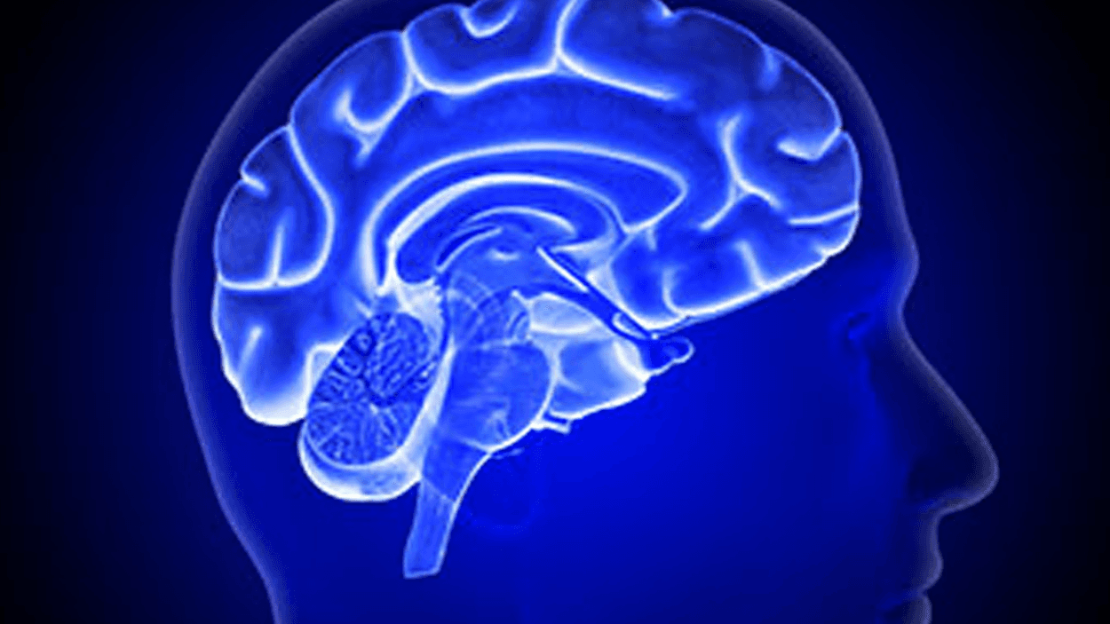 Coronavirus likely to affect brain, UTSA study finds