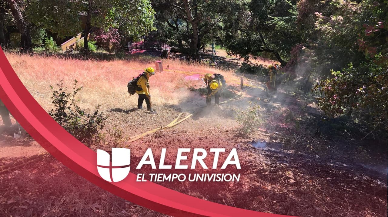 Tres nuevos incendios forestales han afectado al Área de la Bahía este fin de semana