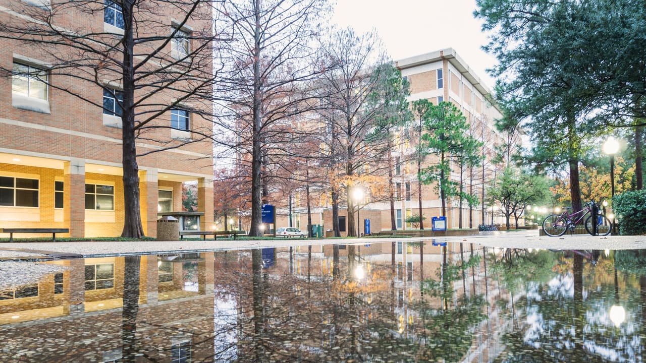 <b>Arlington</b>
<br>Salario que se necesita para ser feliz: $114,345
<br>Salario que se necesita cuando estás en el punto de evaluar cuánto has progresado: $103,455
<br>Salario que se necesita para tener un bienestar emocional: $65,340-$81,675
<br>
<b>Fuente: GOBankingRates</b>