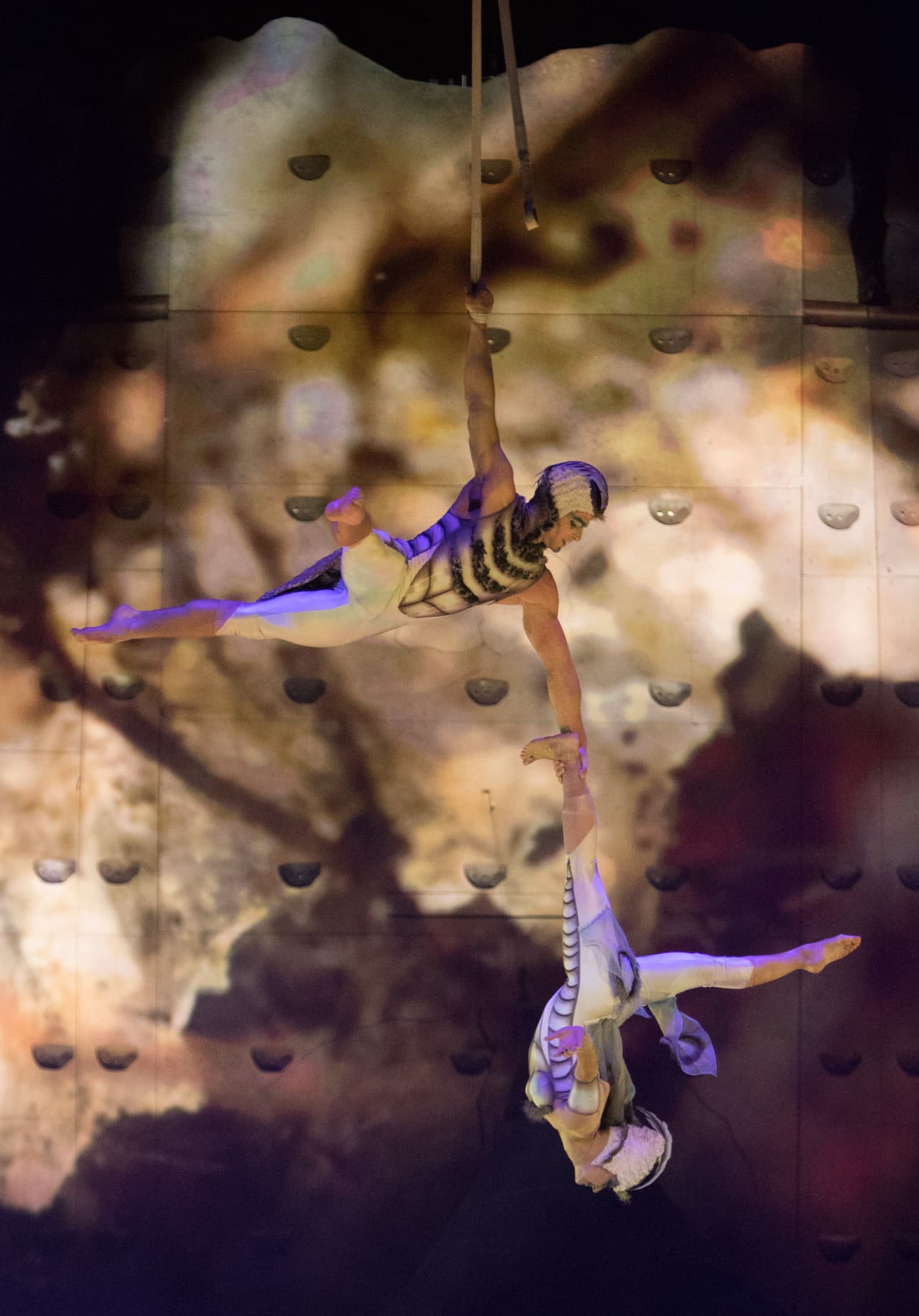 Imágenes de los acróbatas en la producción OVO